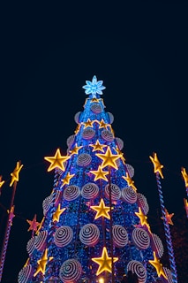 blue and red christmas tree with string lights