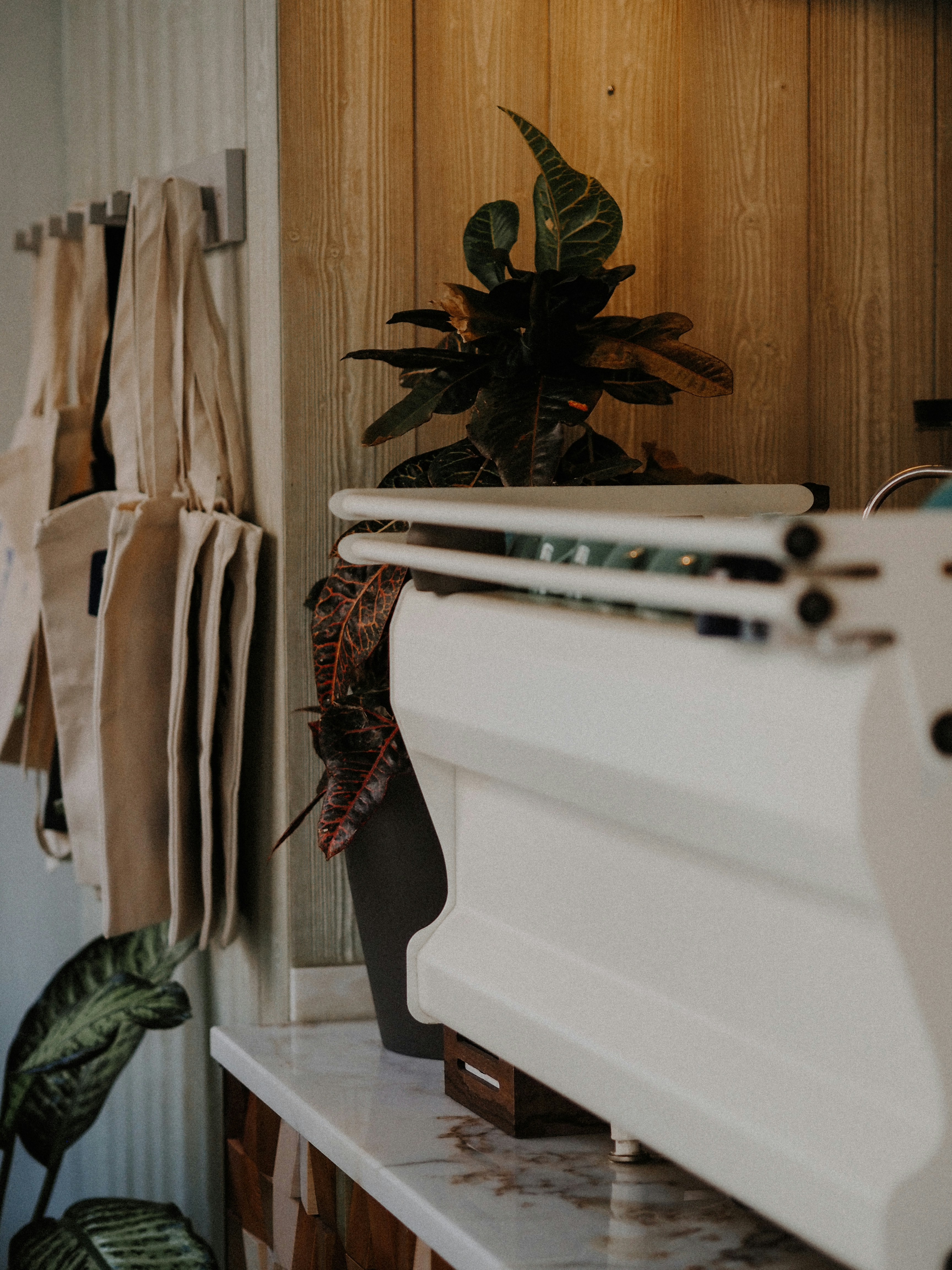 Photo by veronikajorjobert