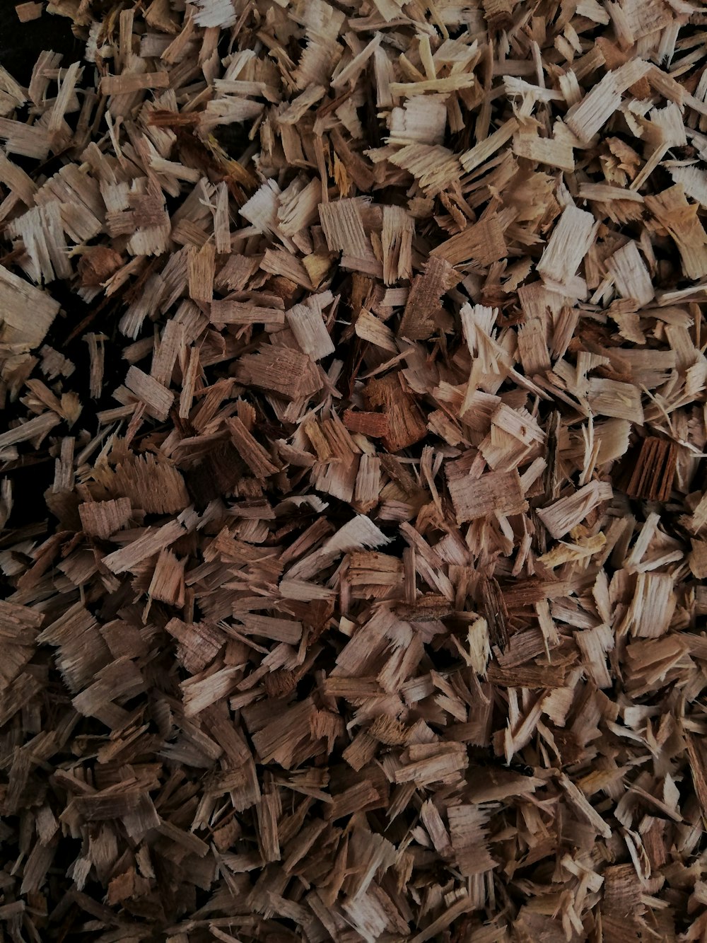 brown dried leaves on ground