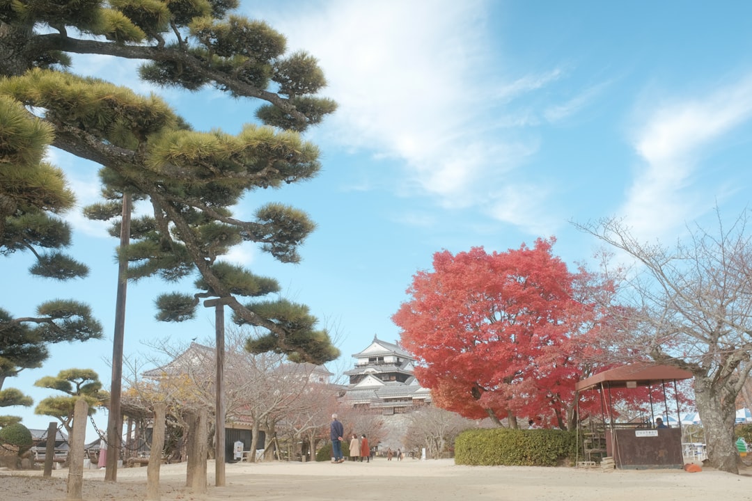 people walking on park during daytime