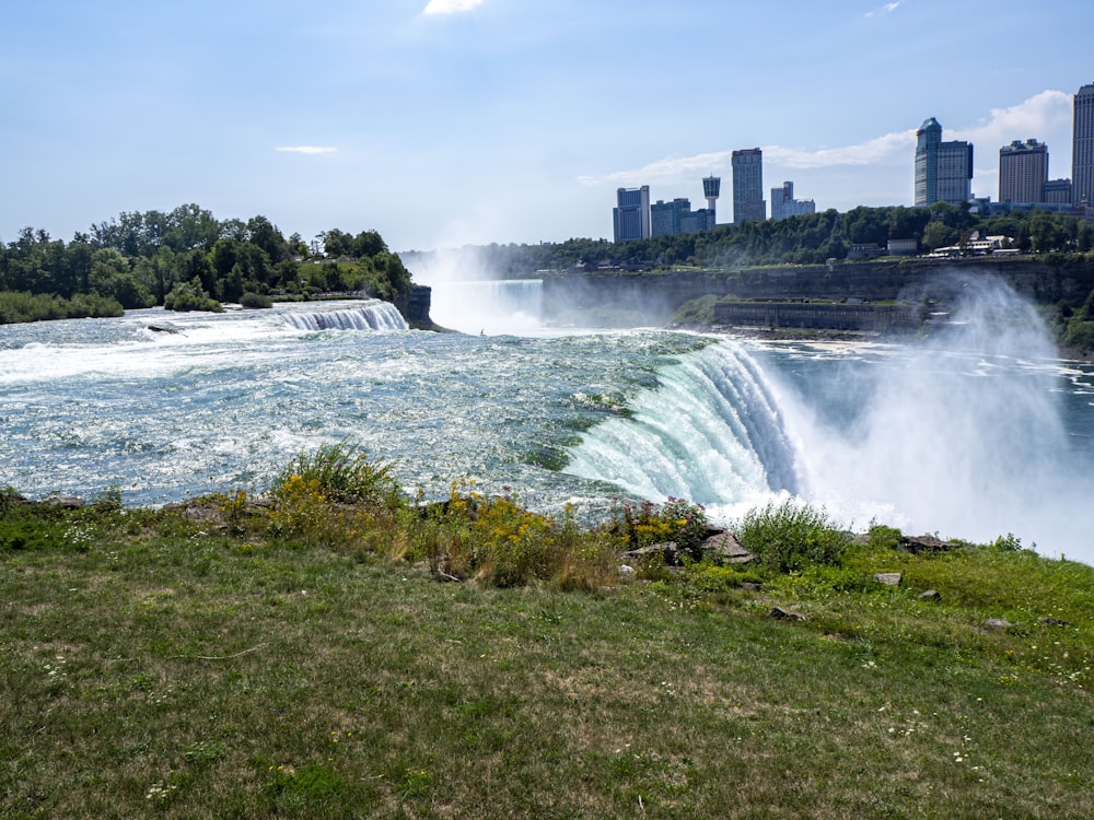 water falls near green grass field during daytime