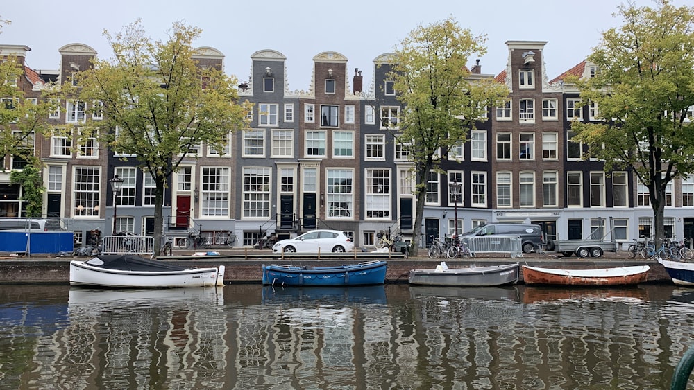 white and blue boat on water near green trees and buildings during daytime