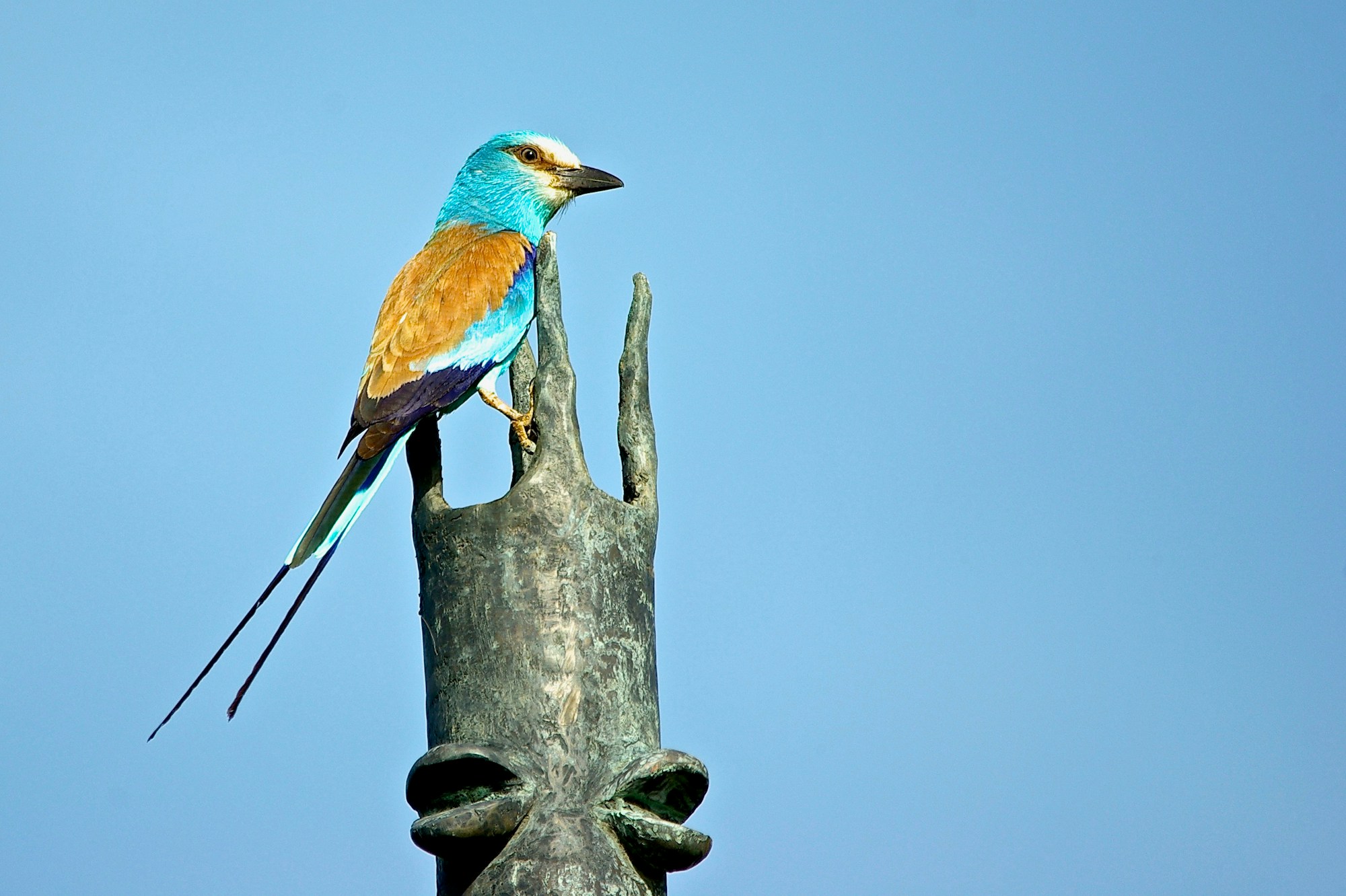 Best Time to Visit Burkina Faso: Weather Guide & Ideal Seasons