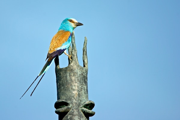 Best Time to Visit Burkina Faso: Weather Guide & Ideal Seasons