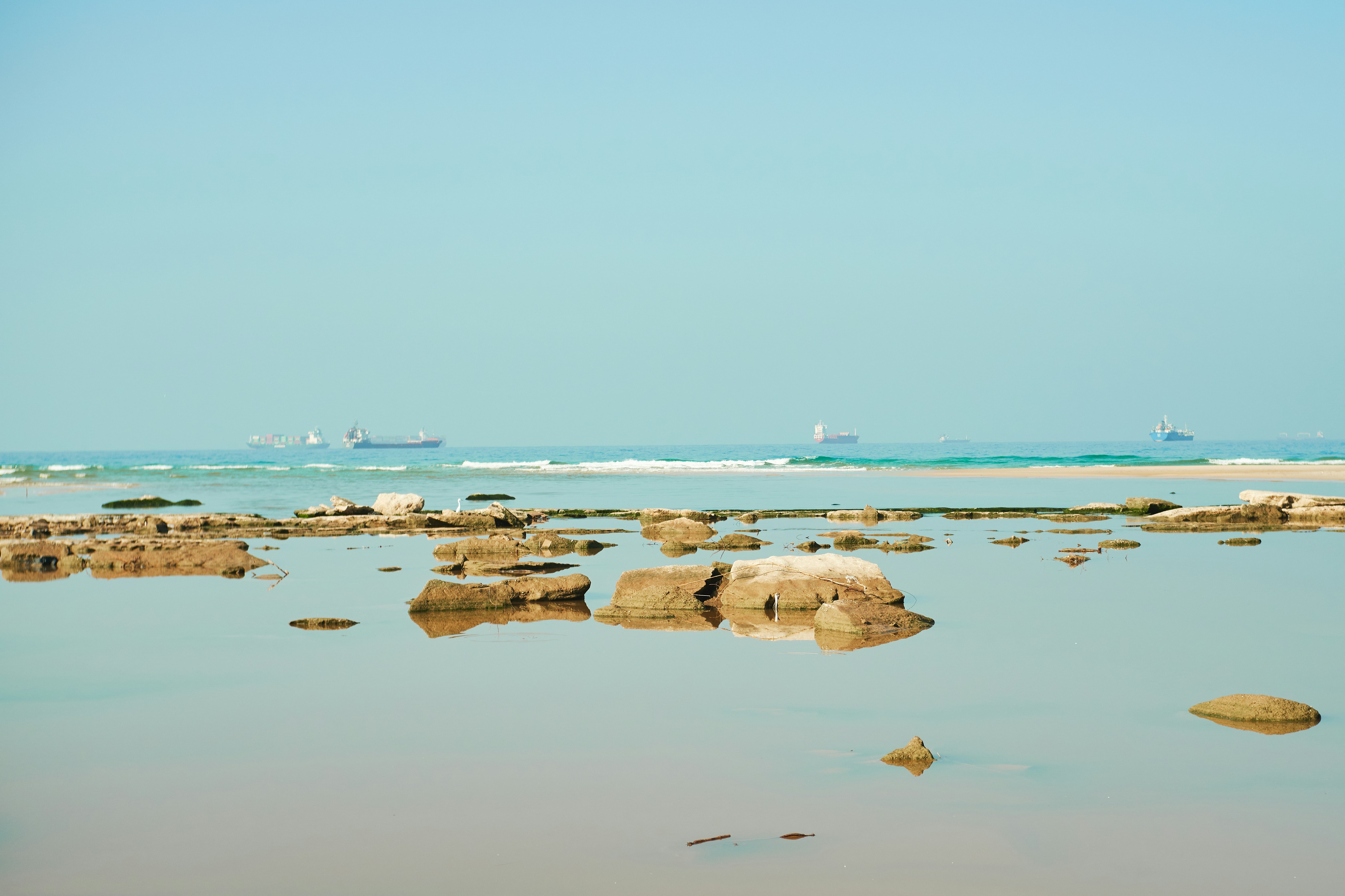 Photo by ficklesupreme