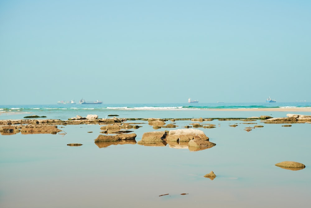 people on beach during daytime