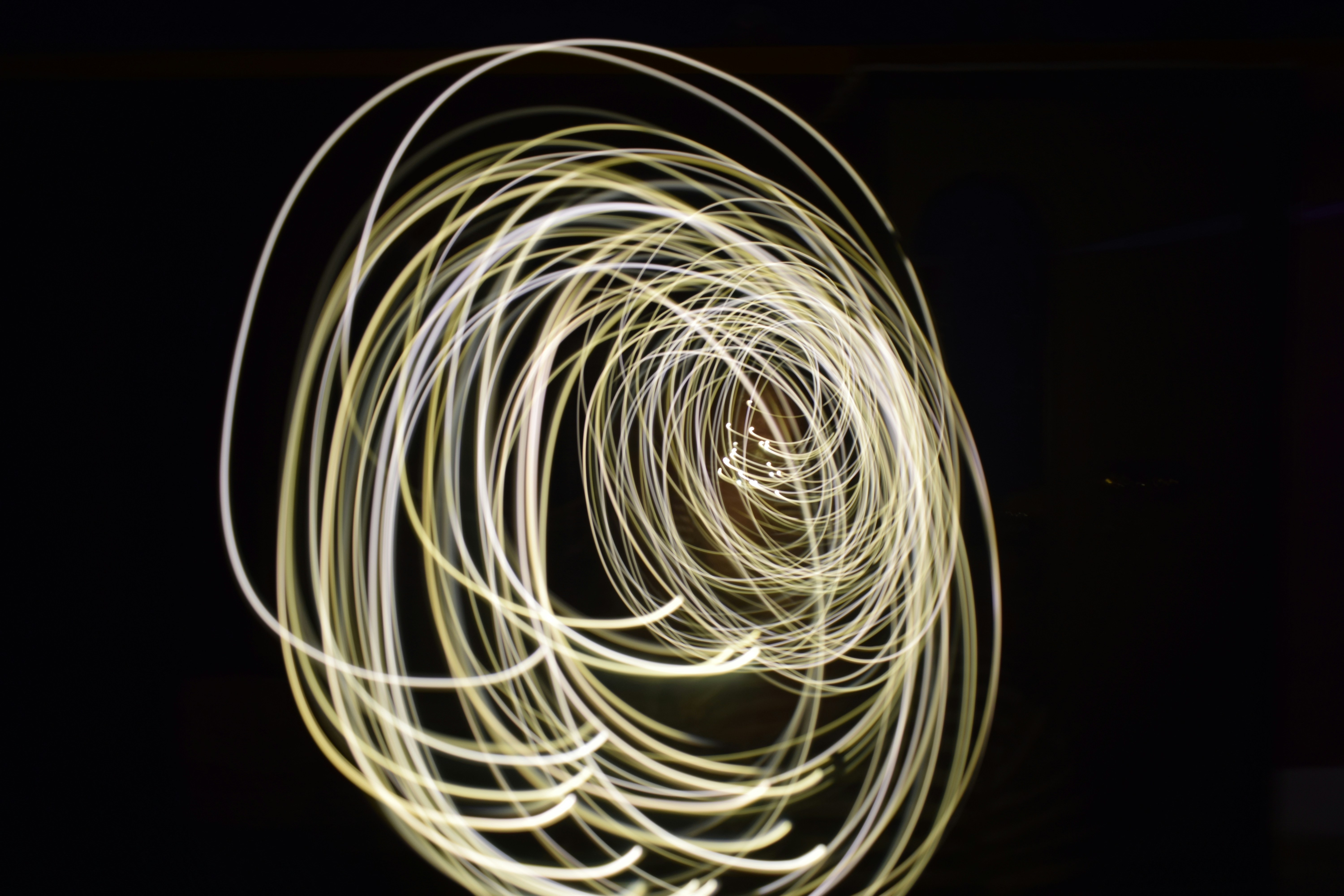 Photo by photographyworld