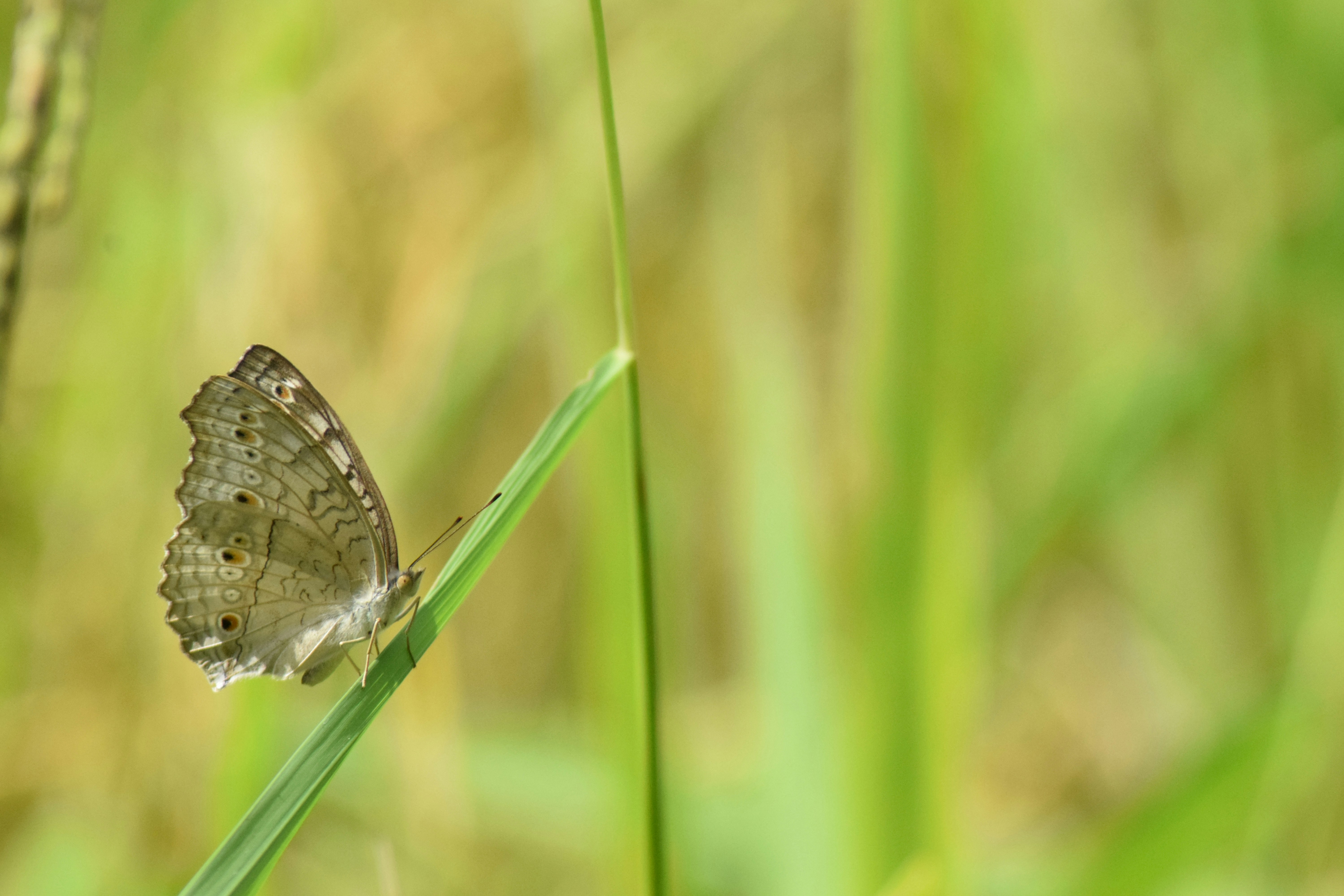 Photo by photographyworld