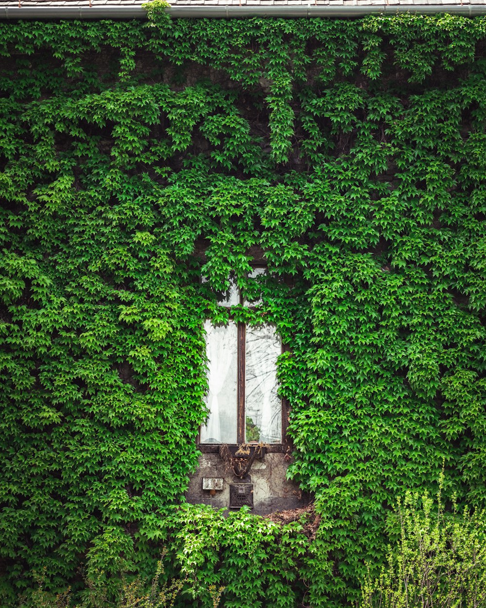 white concrete cross on gray concrete cross in the middle of green trees