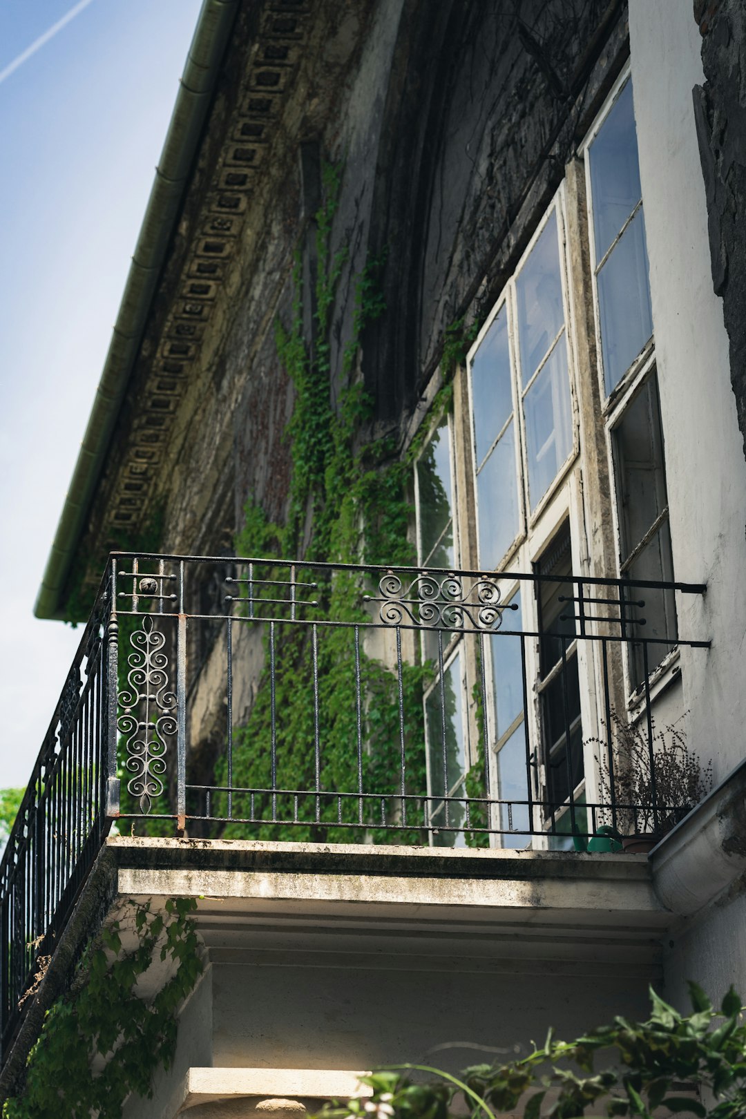 black metal railings on white concrete building