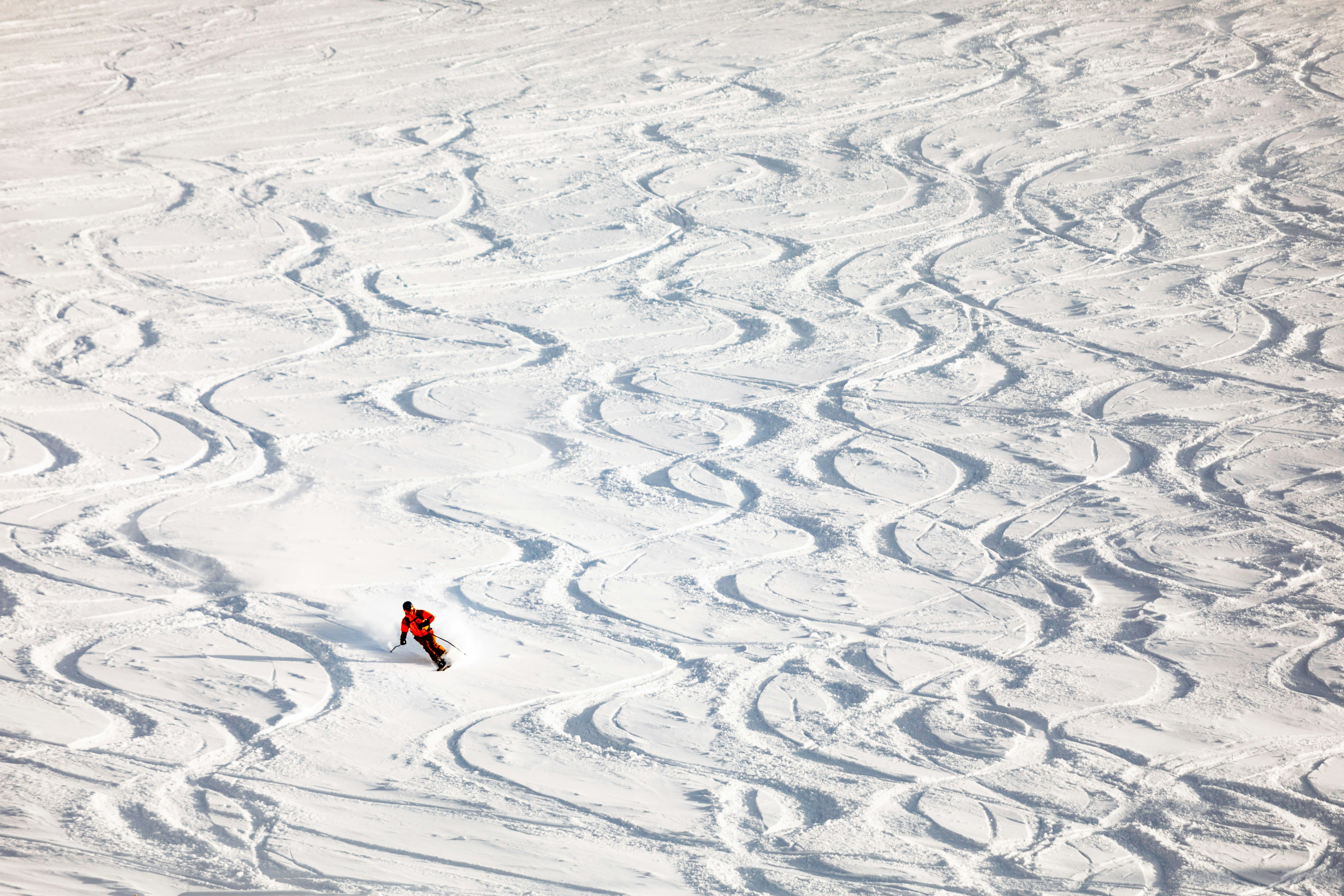 Photo by sunshinevillage