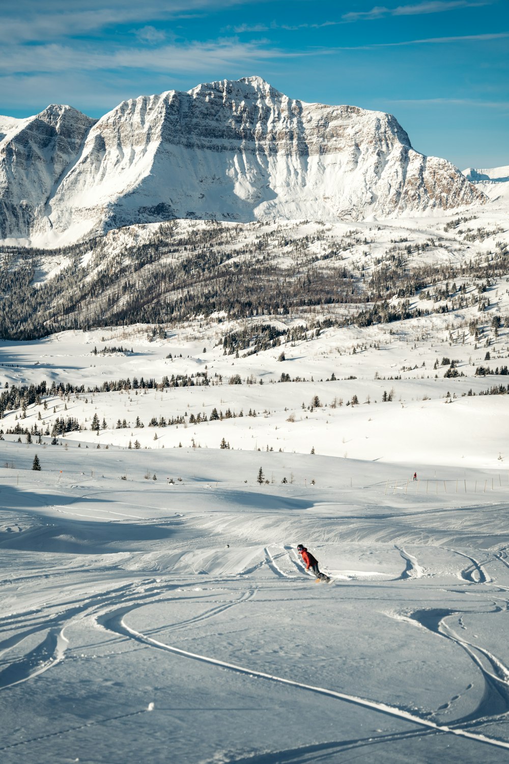 person riding on red and white snow ski on snow covered mountain during daytime