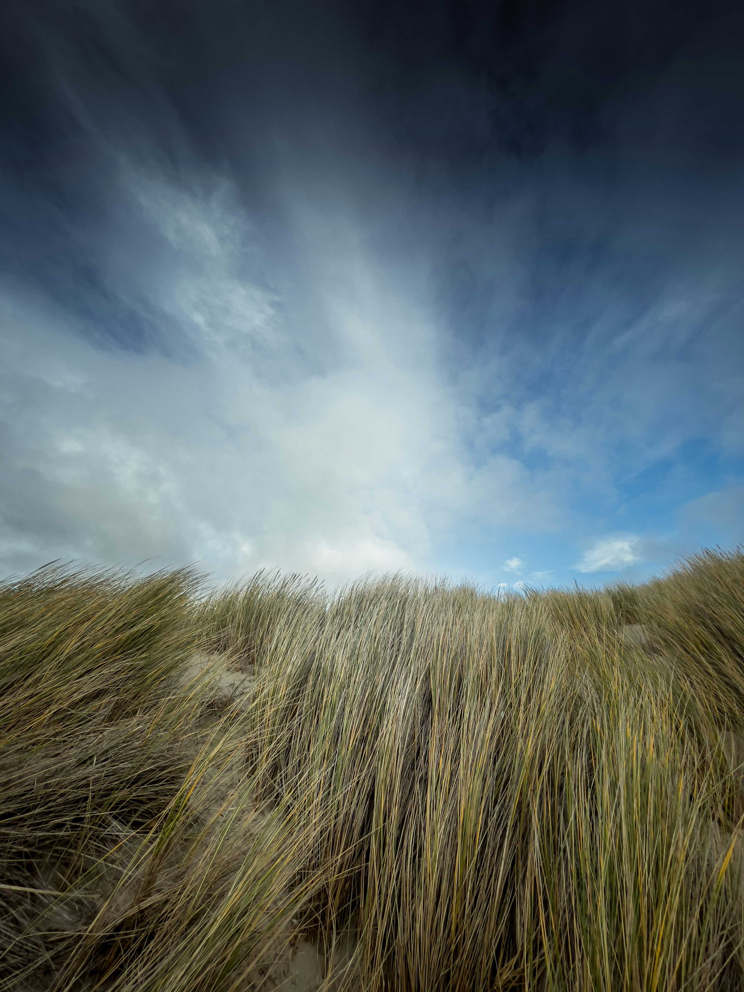 Photo by erikbergmans