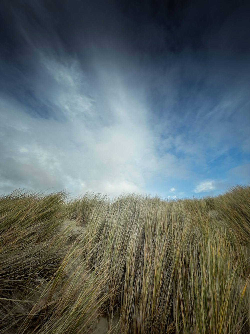 green grass field under white clouds and blue sky during daytime