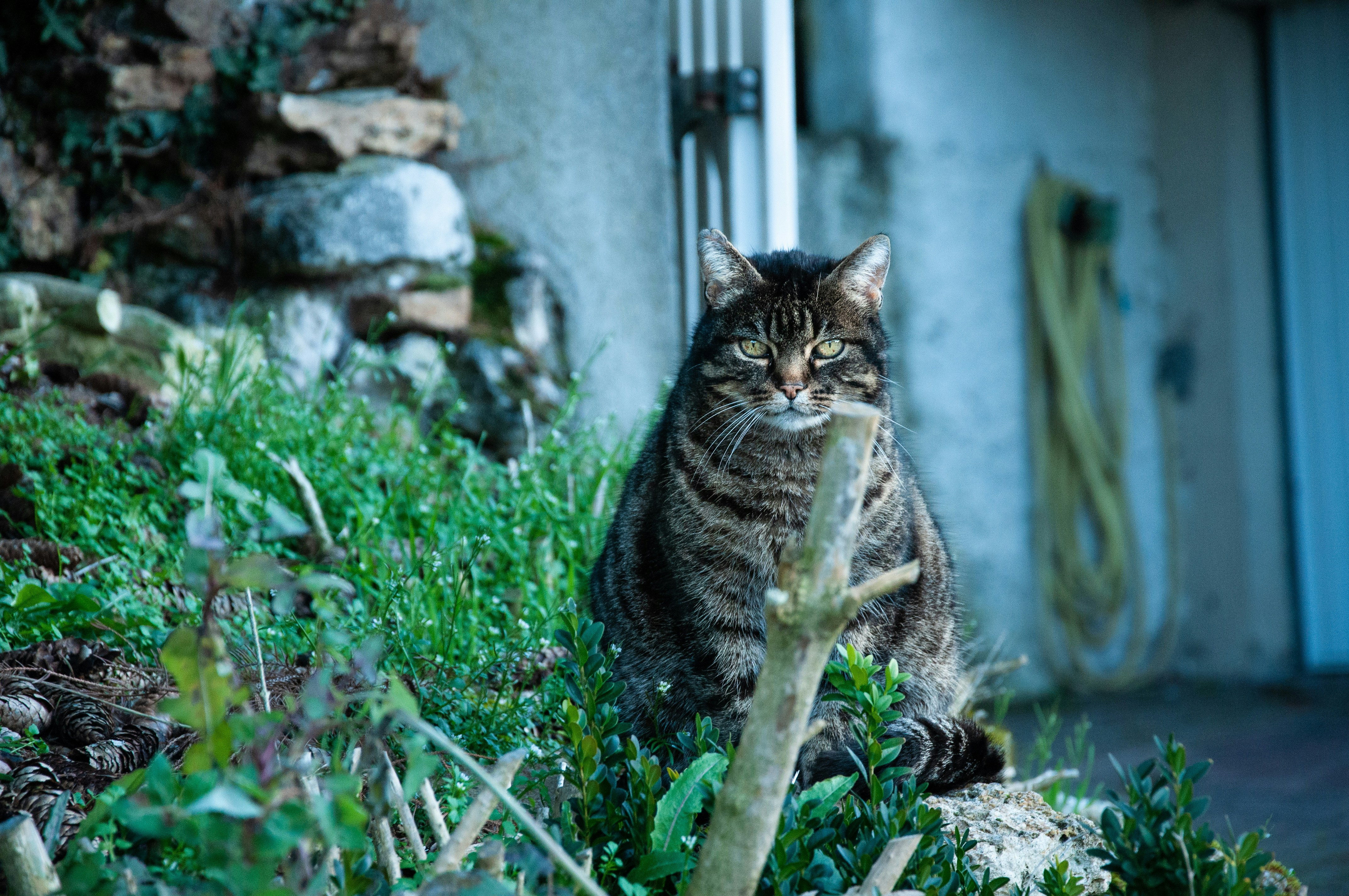 Photo by meynyz