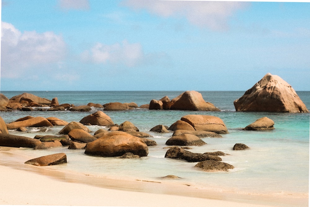 brown rocks on seashore during daytime