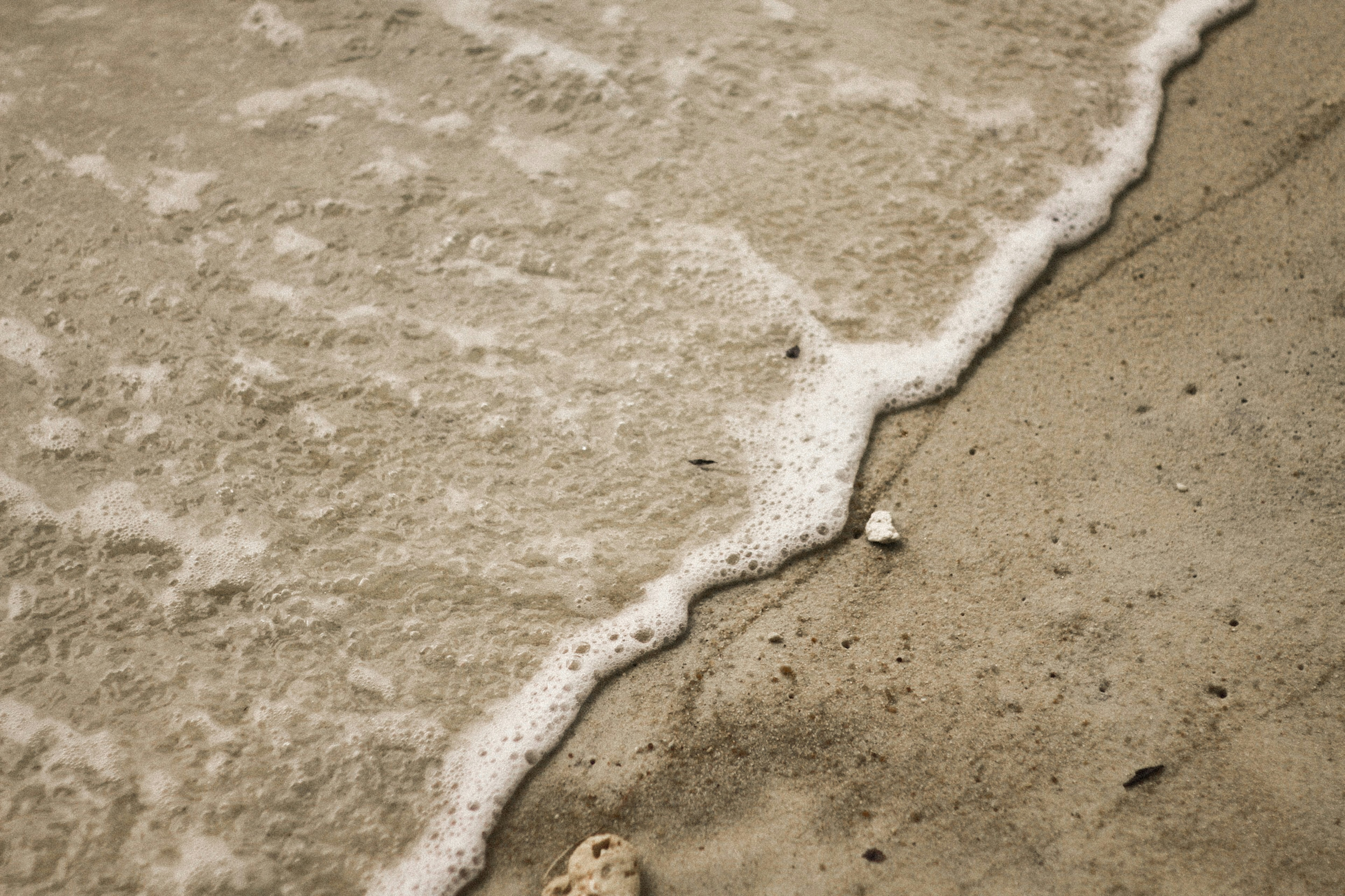 Photo by kajareichardtphotos