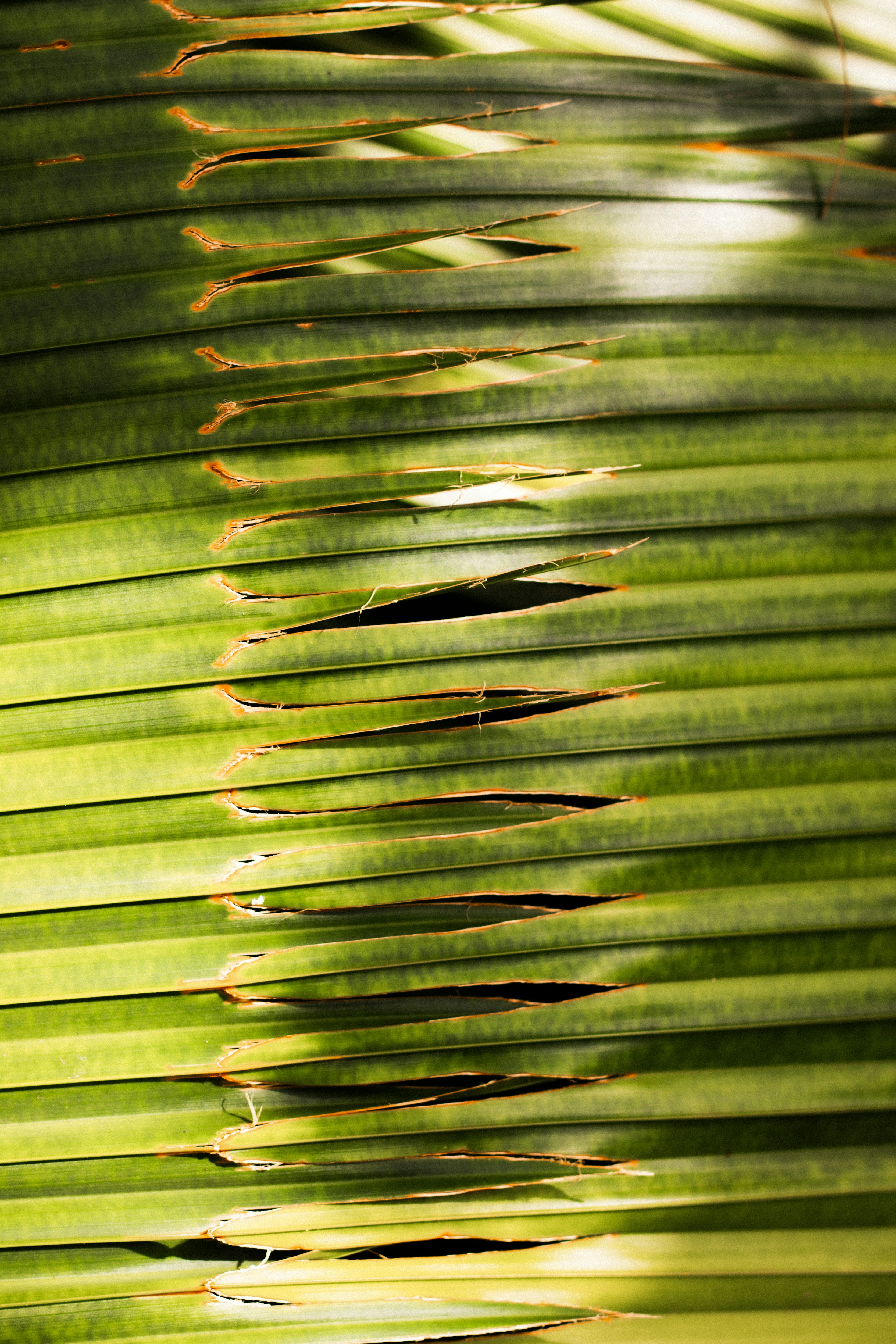 Photo by kajareichardtphotos