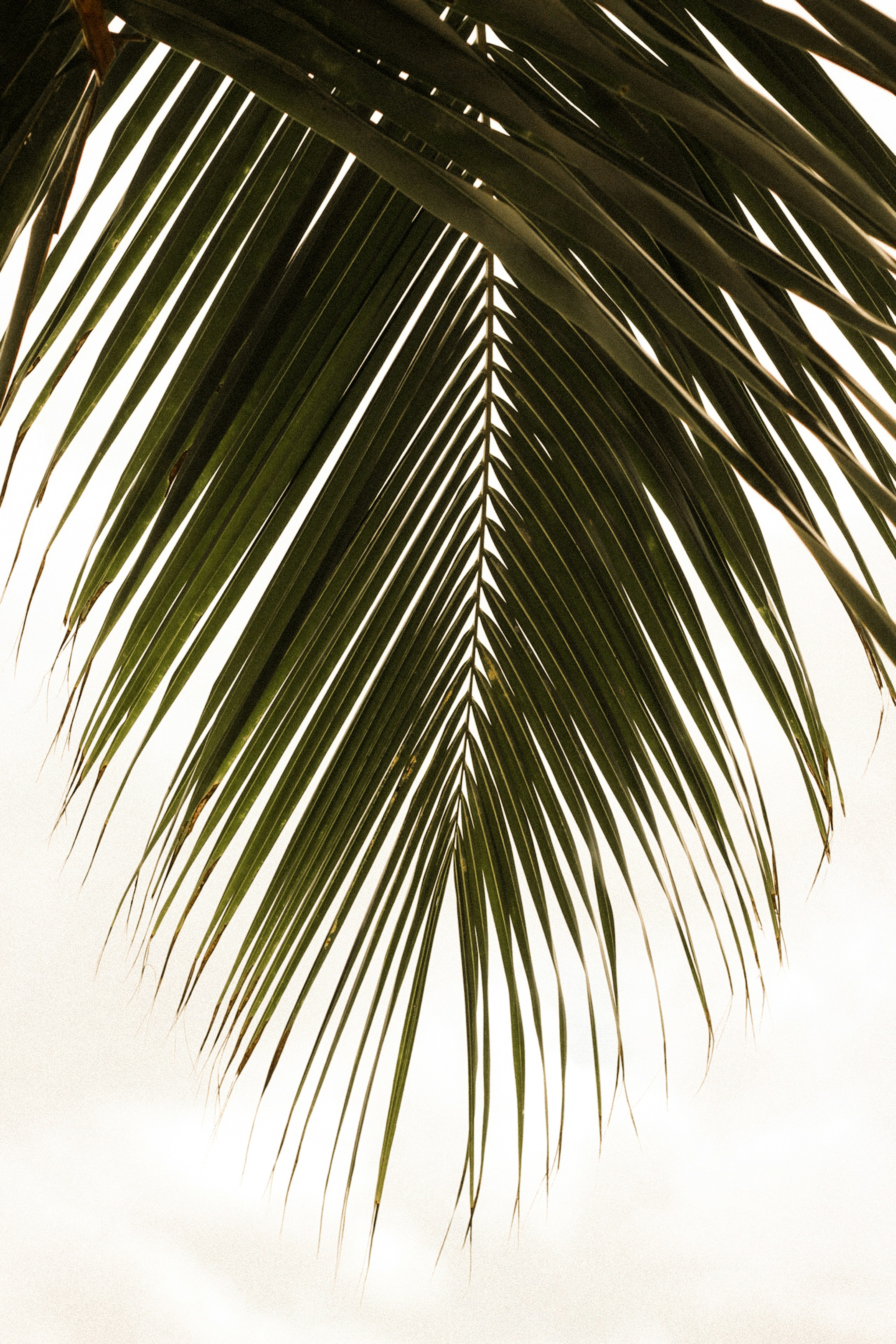 Photo by kajareichardtphotos