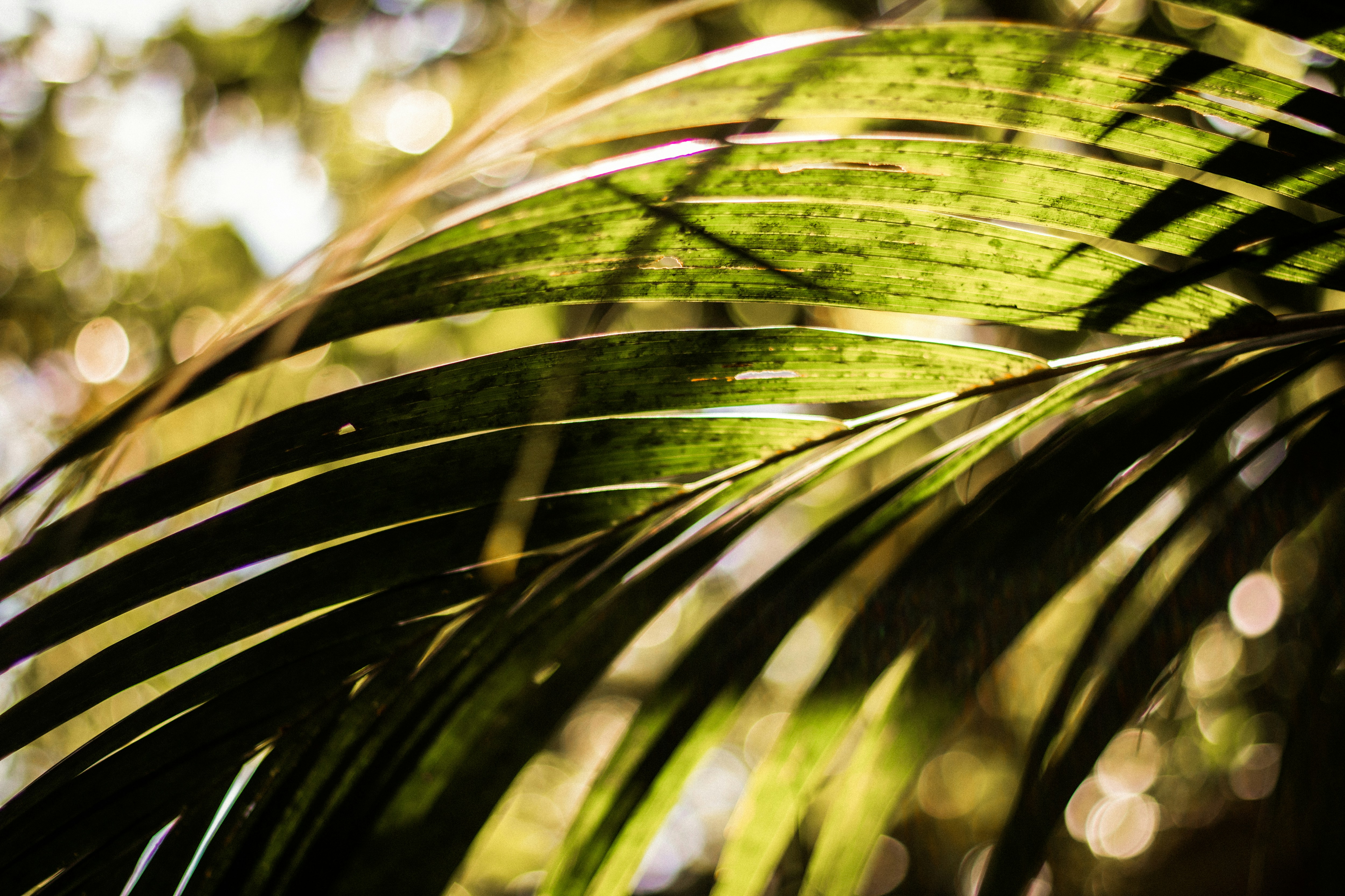 Photo by kajareichardtphotos