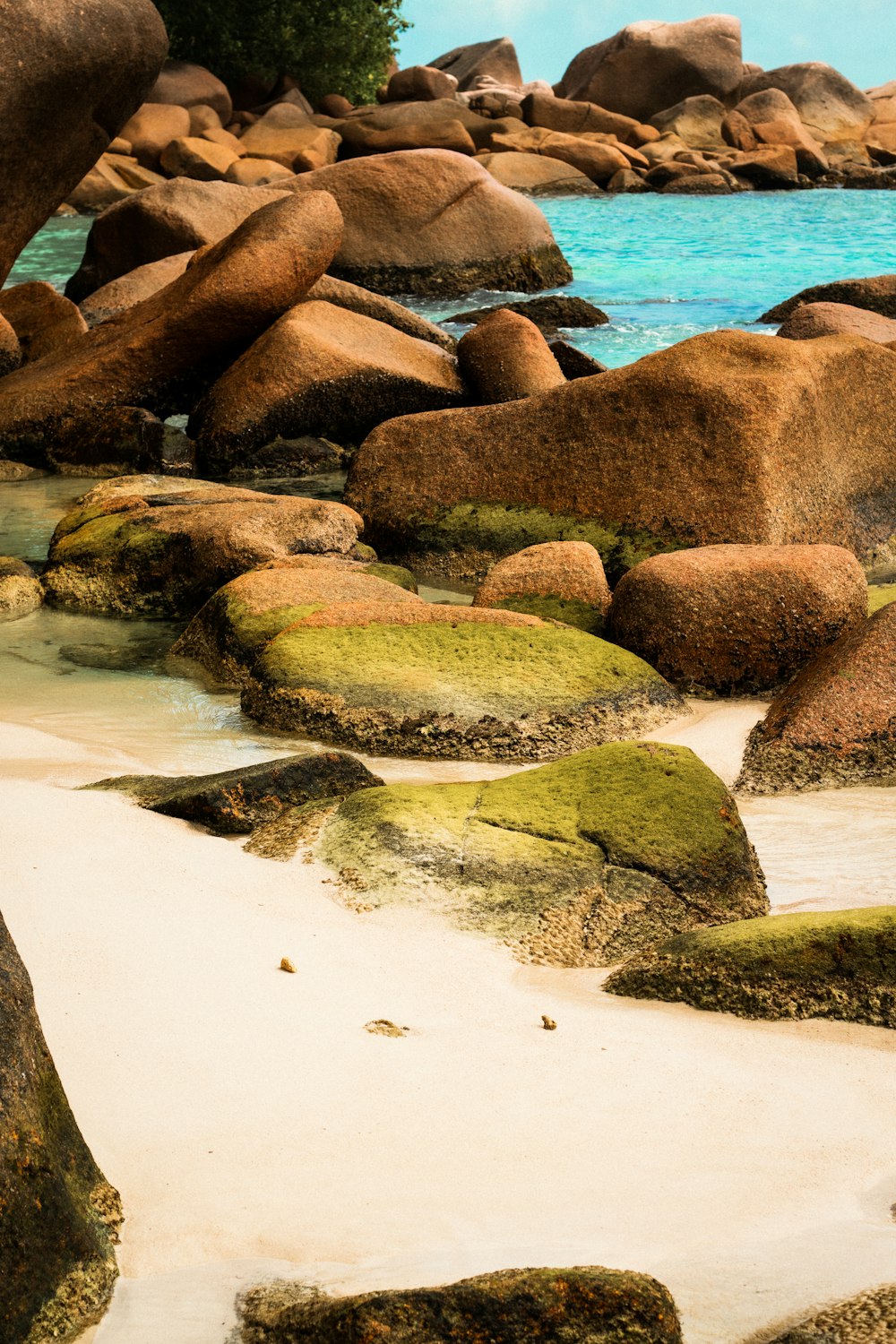 brown rocks on seashore during daytime