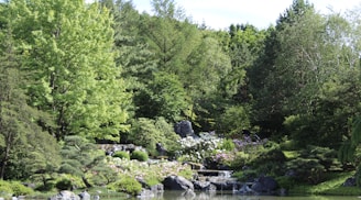 A lush garden landscape featuring a variety of green trees and shrubs, with a small waterfall cascading over rocks into a calm pond. There are blooming flowers scattered around the area, contributing to the serene atmosphere.