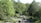 A lush garden landscape featuring a variety of green trees and shrubs, with a small waterfall cascading over rocks into a calm pond. There are blooming flowers scattered around the area, contributing to the serene atmosphere.