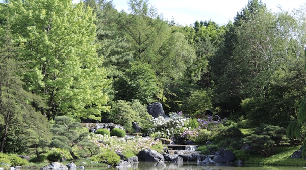 A spacious garden with a mix of trees, flowering plants, and a small water feature creating a peaceful atmosphere.