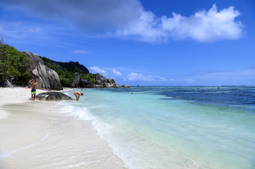 people on beach during daytime