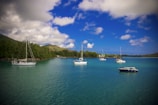 Colorful boats anchored in a tranquil bay.