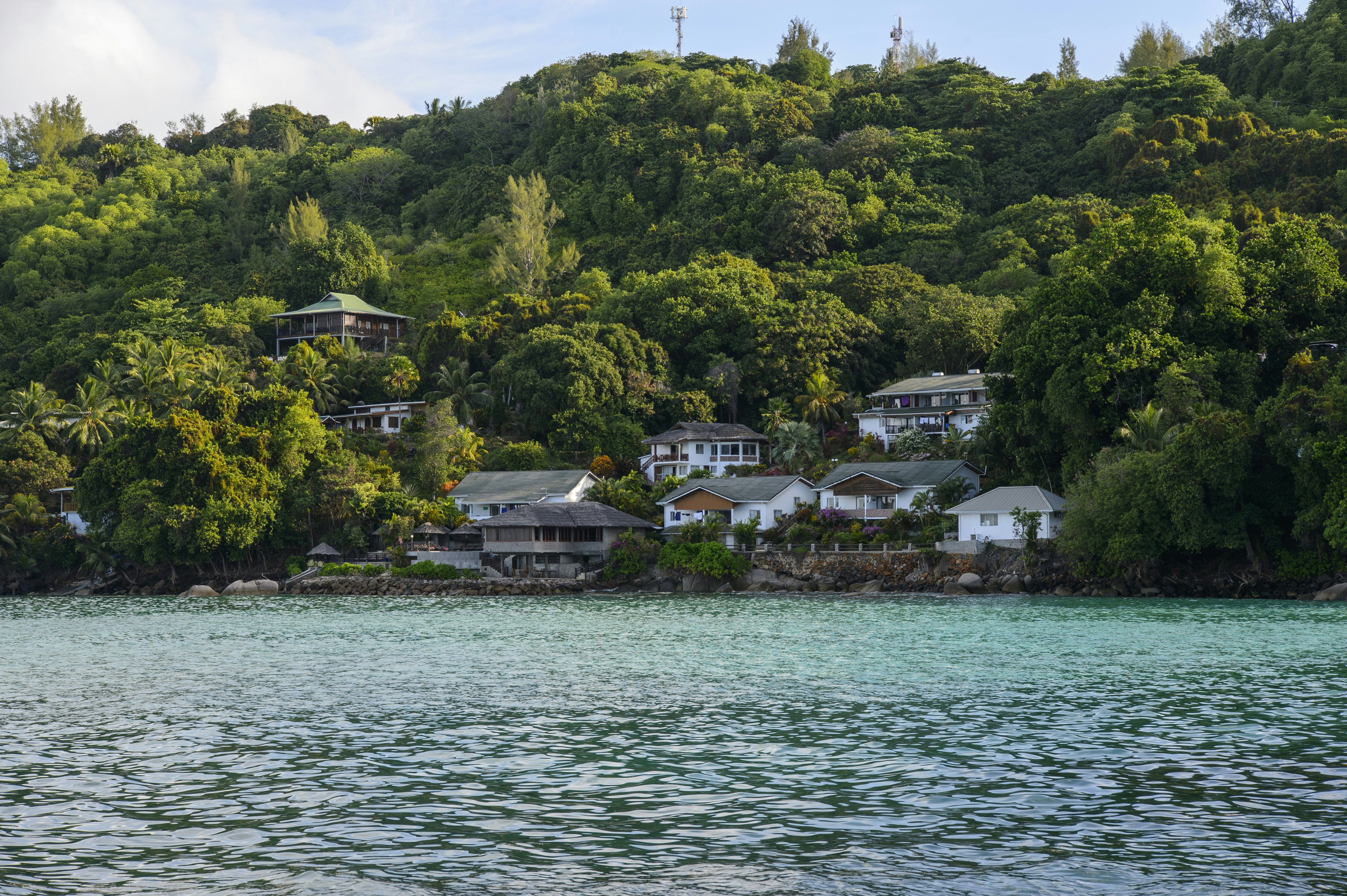 Photo by fan_world2020