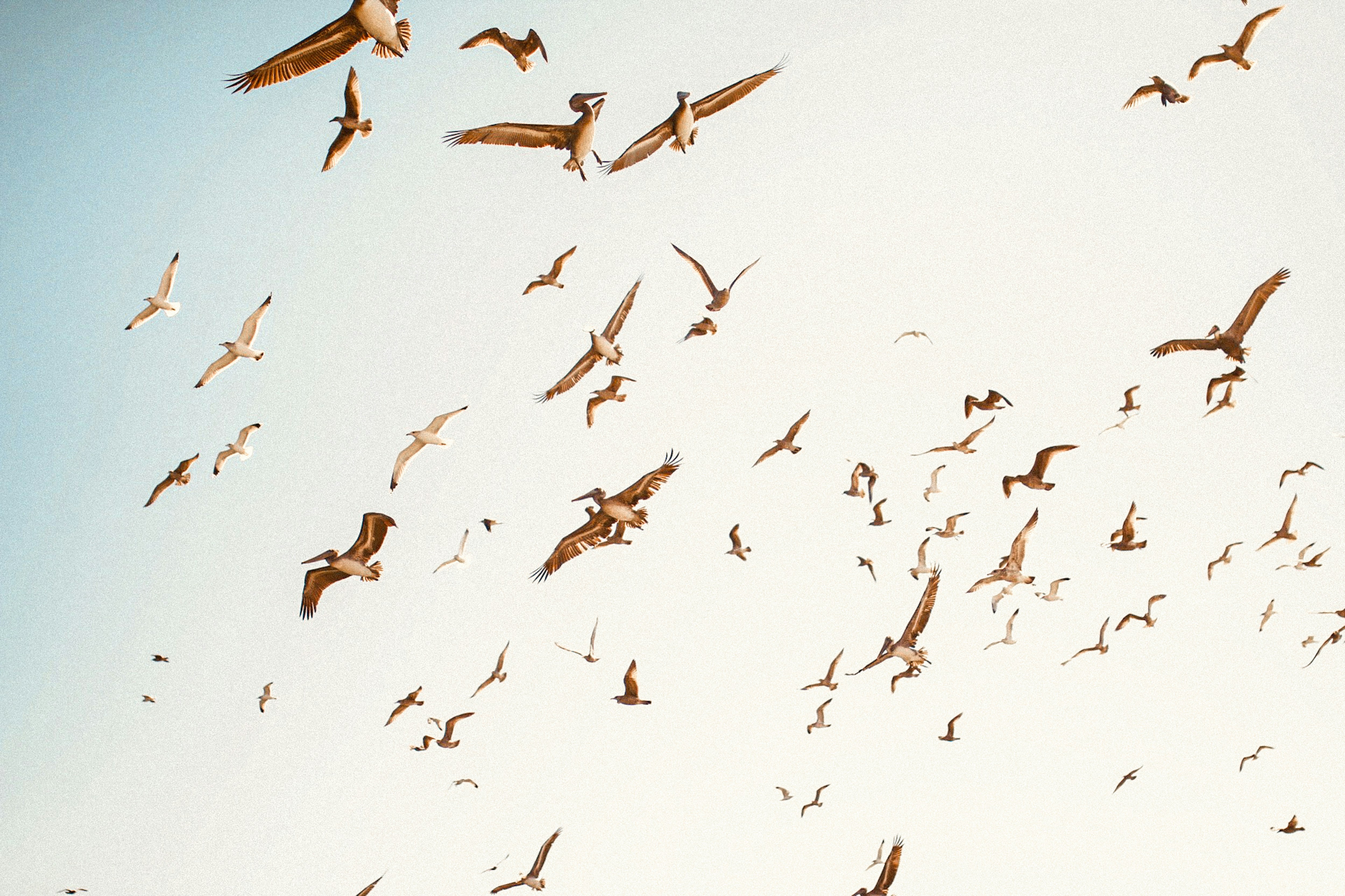 Photo by kajareichardtphotos