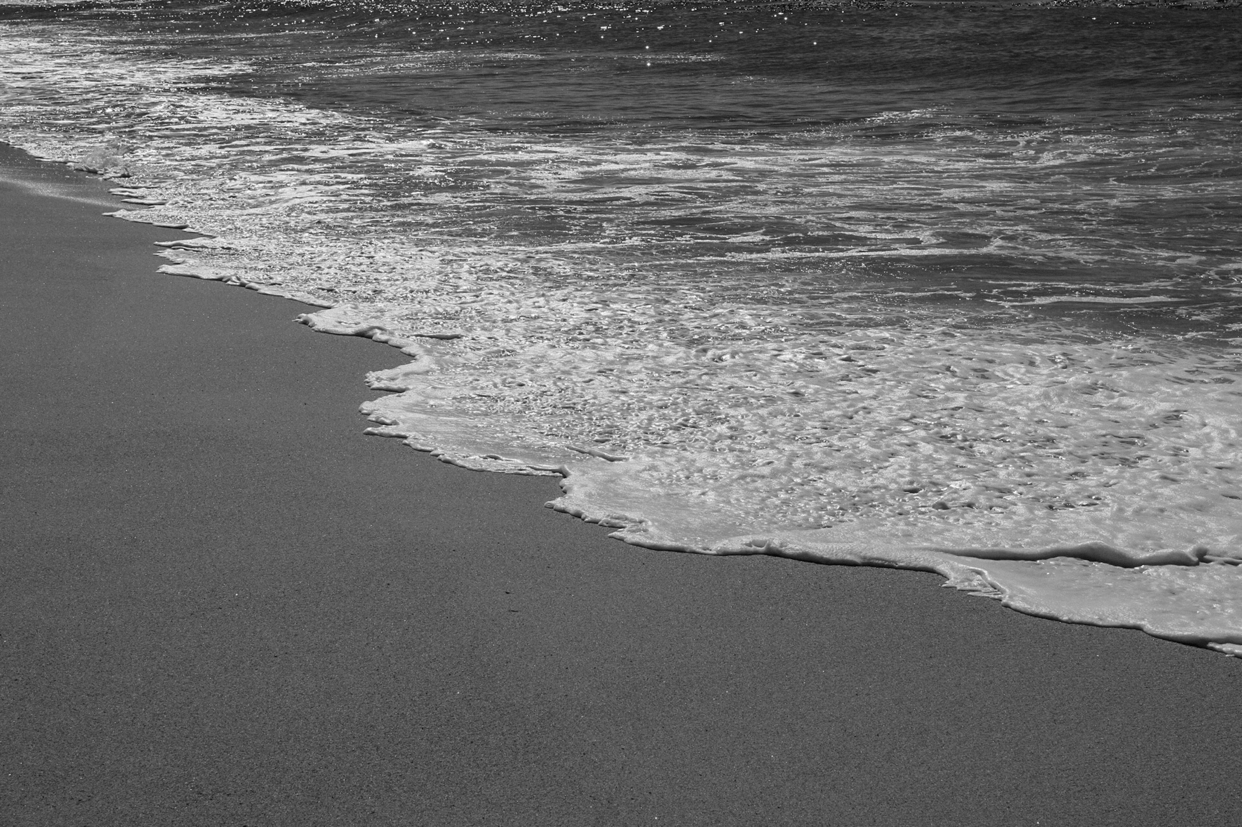 Photo by kajareichardtphotos