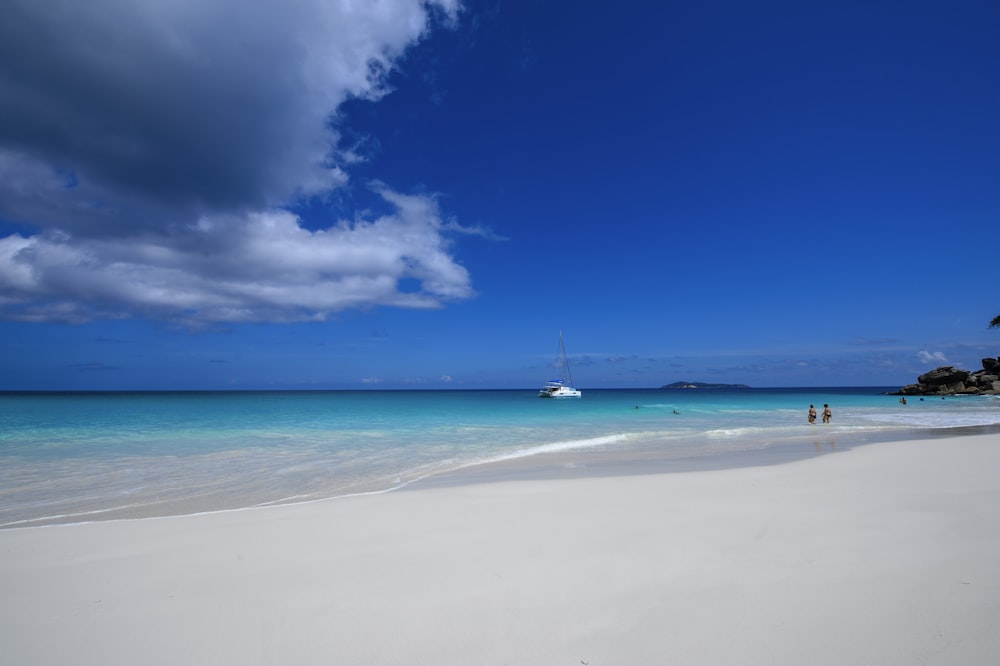 person standing on beach during daytime