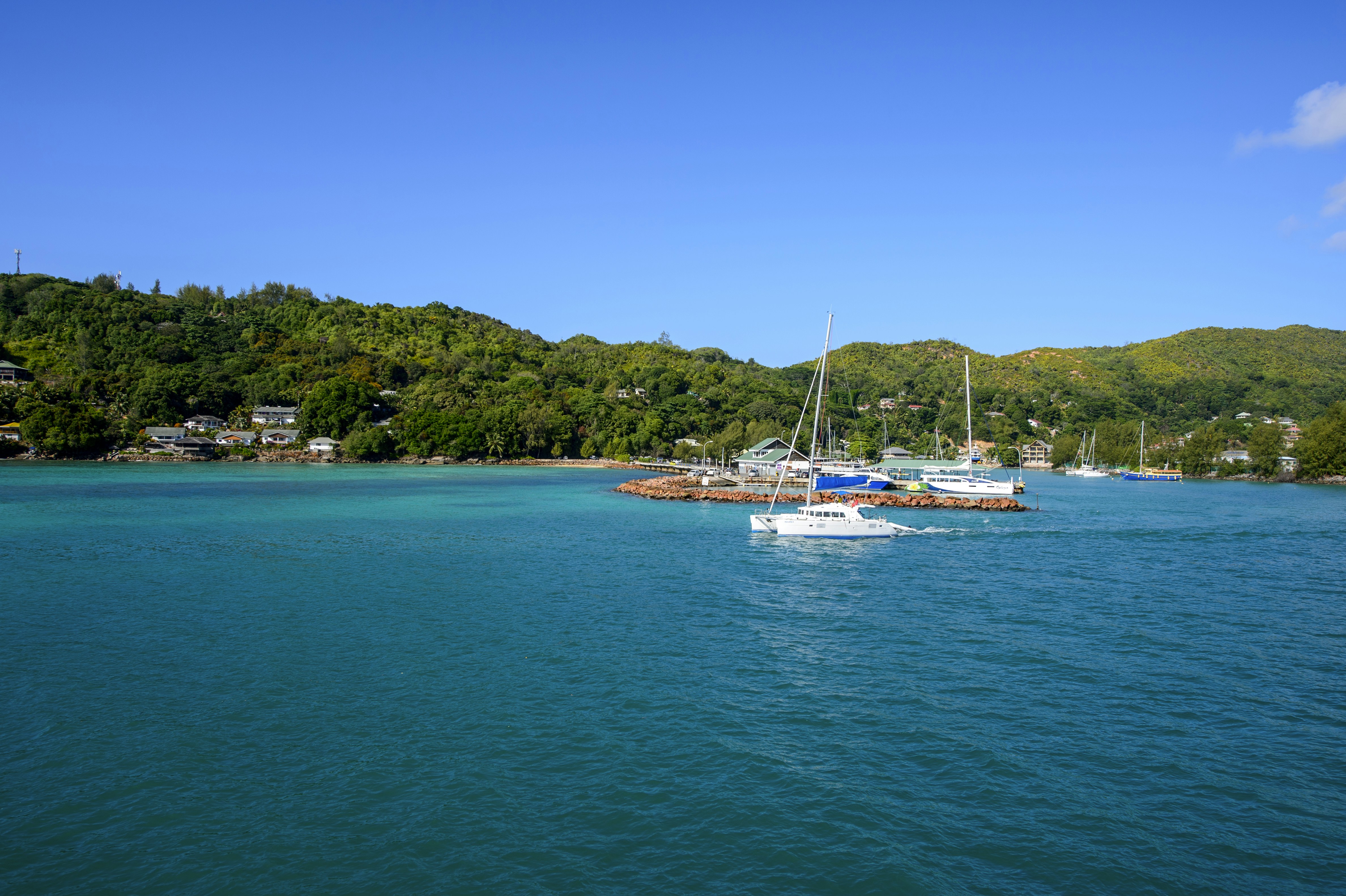 Photo by fan_world2020