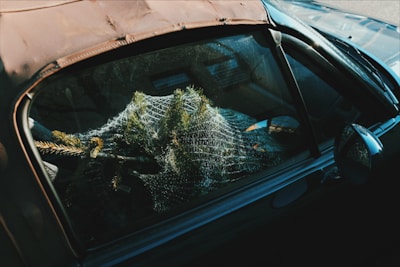 A car is parked with a netted Christmas tree in the back seat, visible through the side window. The tree appears to be freshly cut, wrapped in netting for transport. The vehicle's exterior has a slightly aged appearance with some visible wear on the roof.