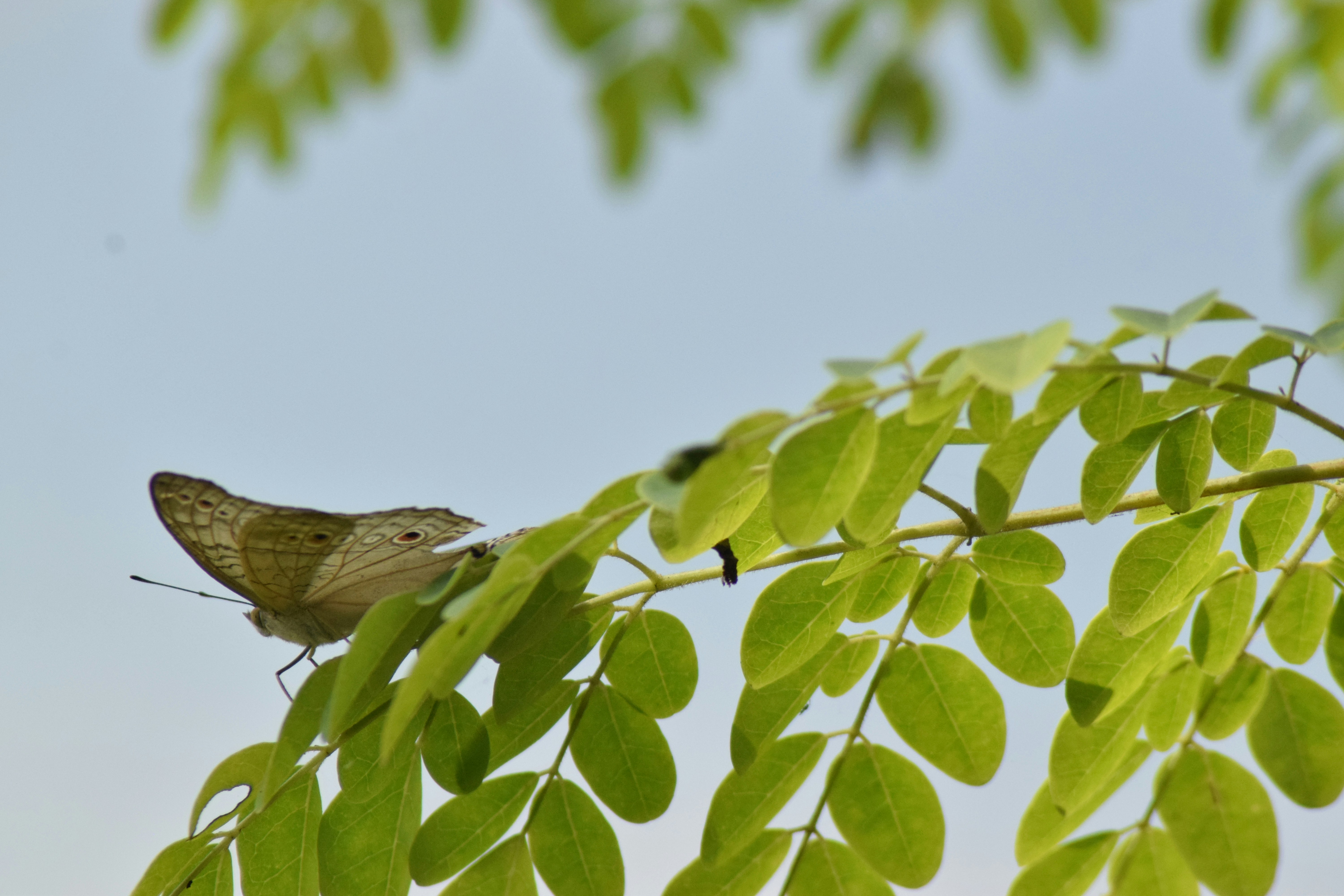 Photo by photographyworld