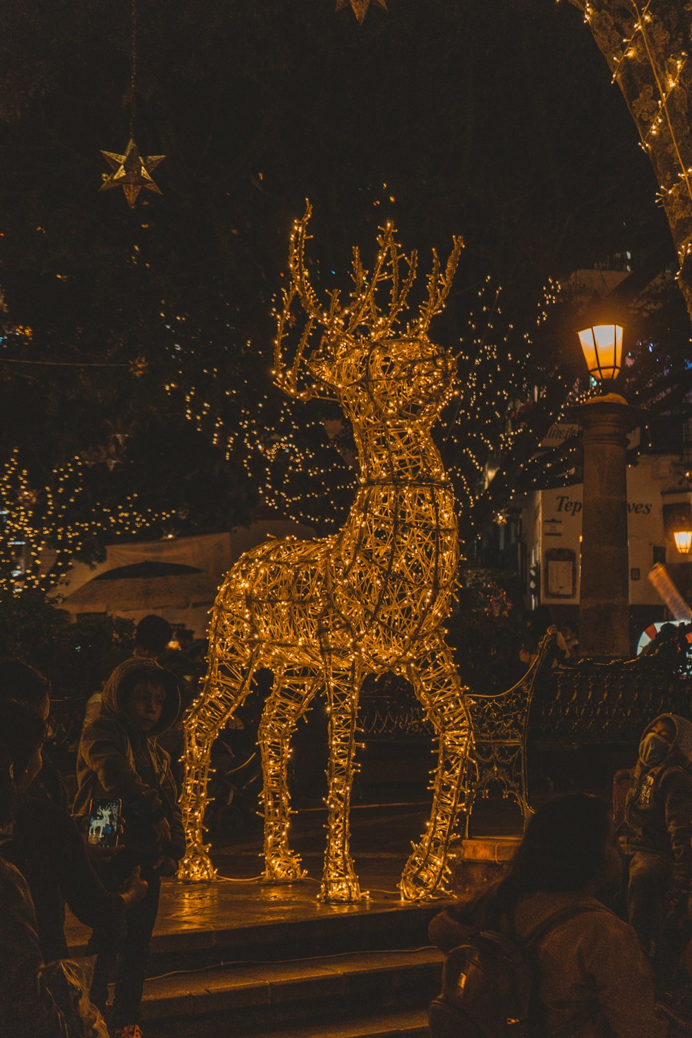 lighted deer statue during night time