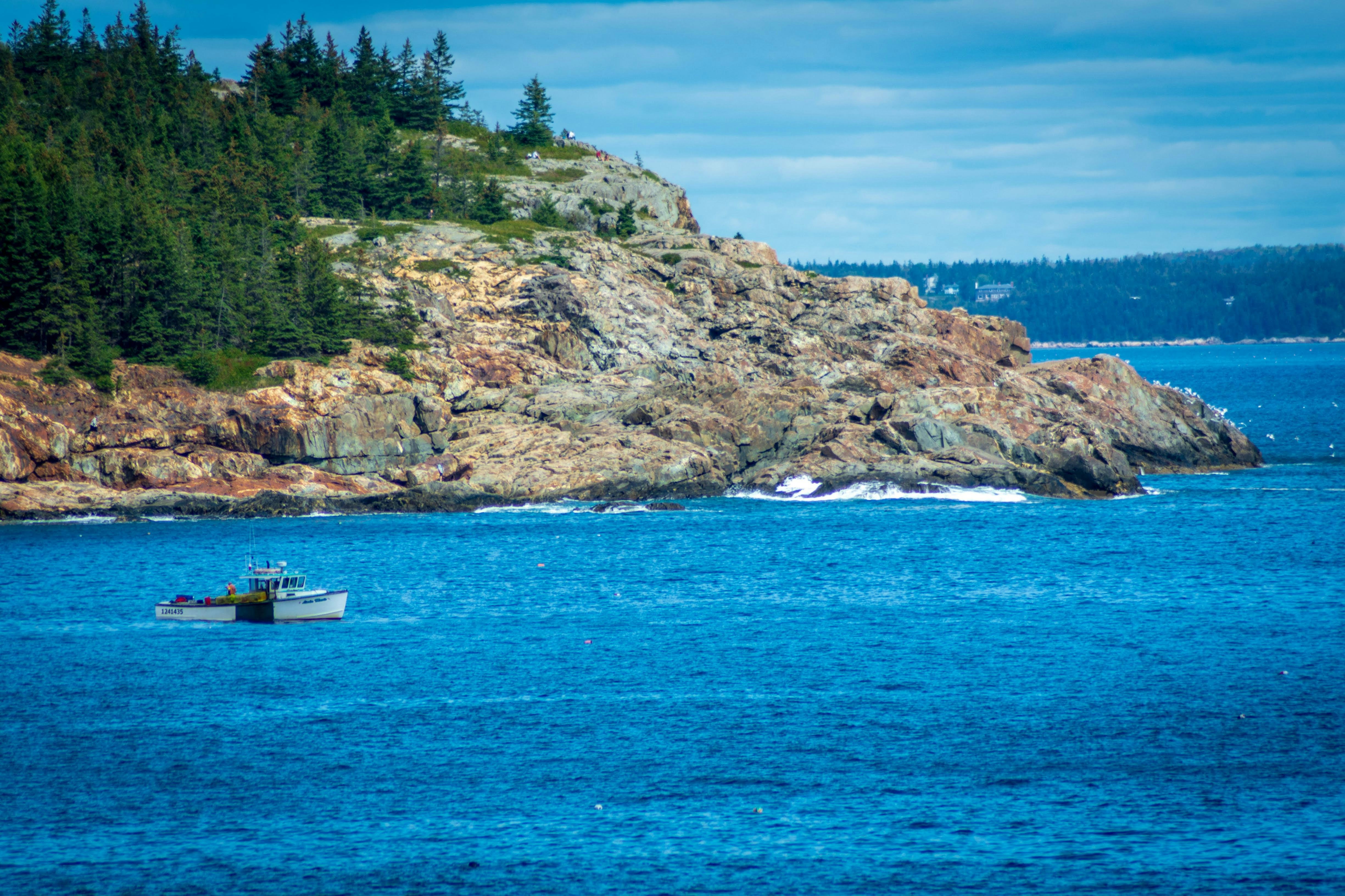 Acadia National Park - 1-Day Highlights