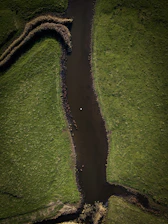 An aerial view of a river winding through a lush floodplain with engineered levees.