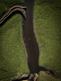 An aerial view of a river winding through a lush floodplain with engineered levees.