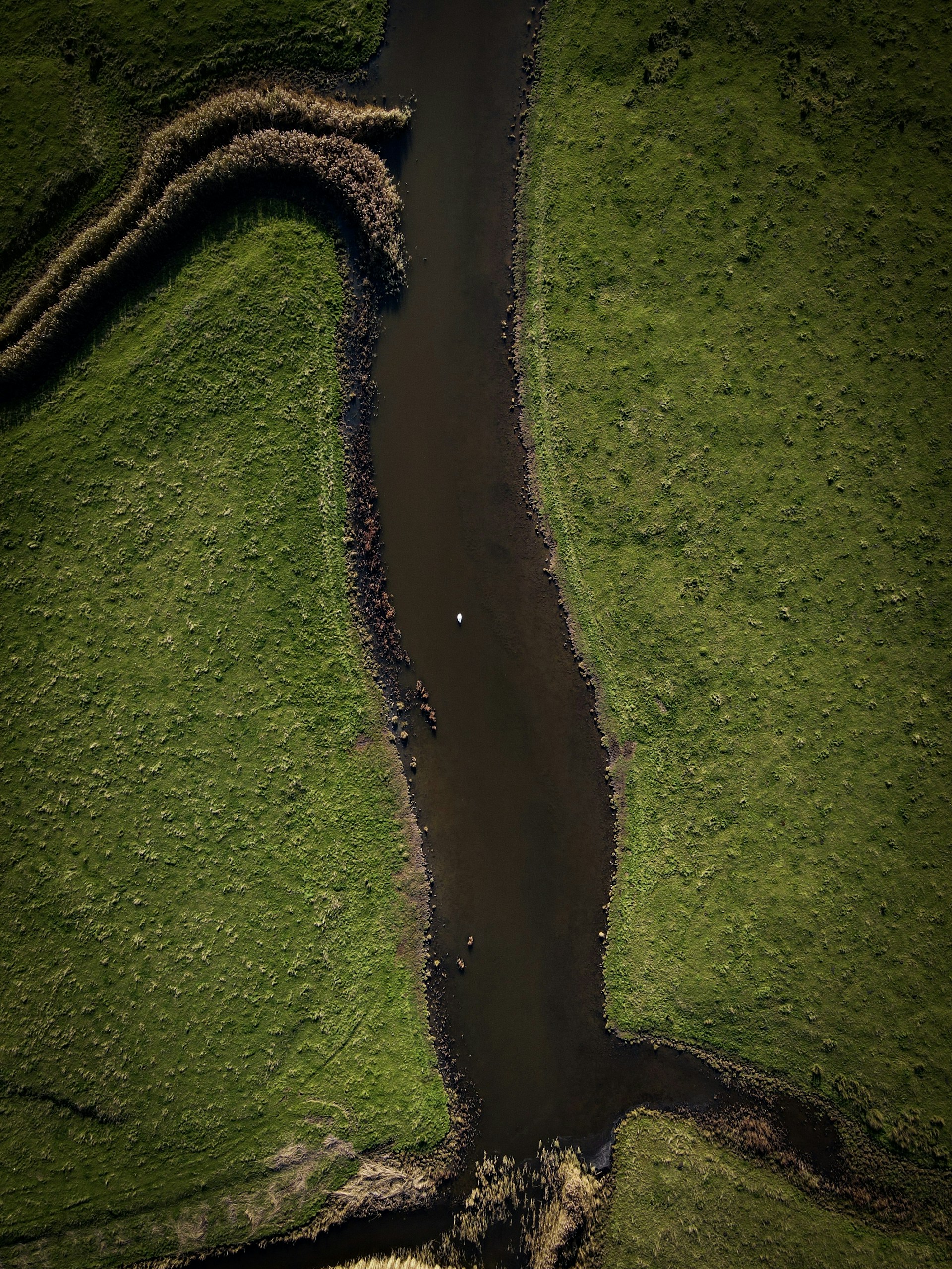 An intimate close-up drone shot of a winding river cutting through lush green fields, evoking a sense of journey and passage.