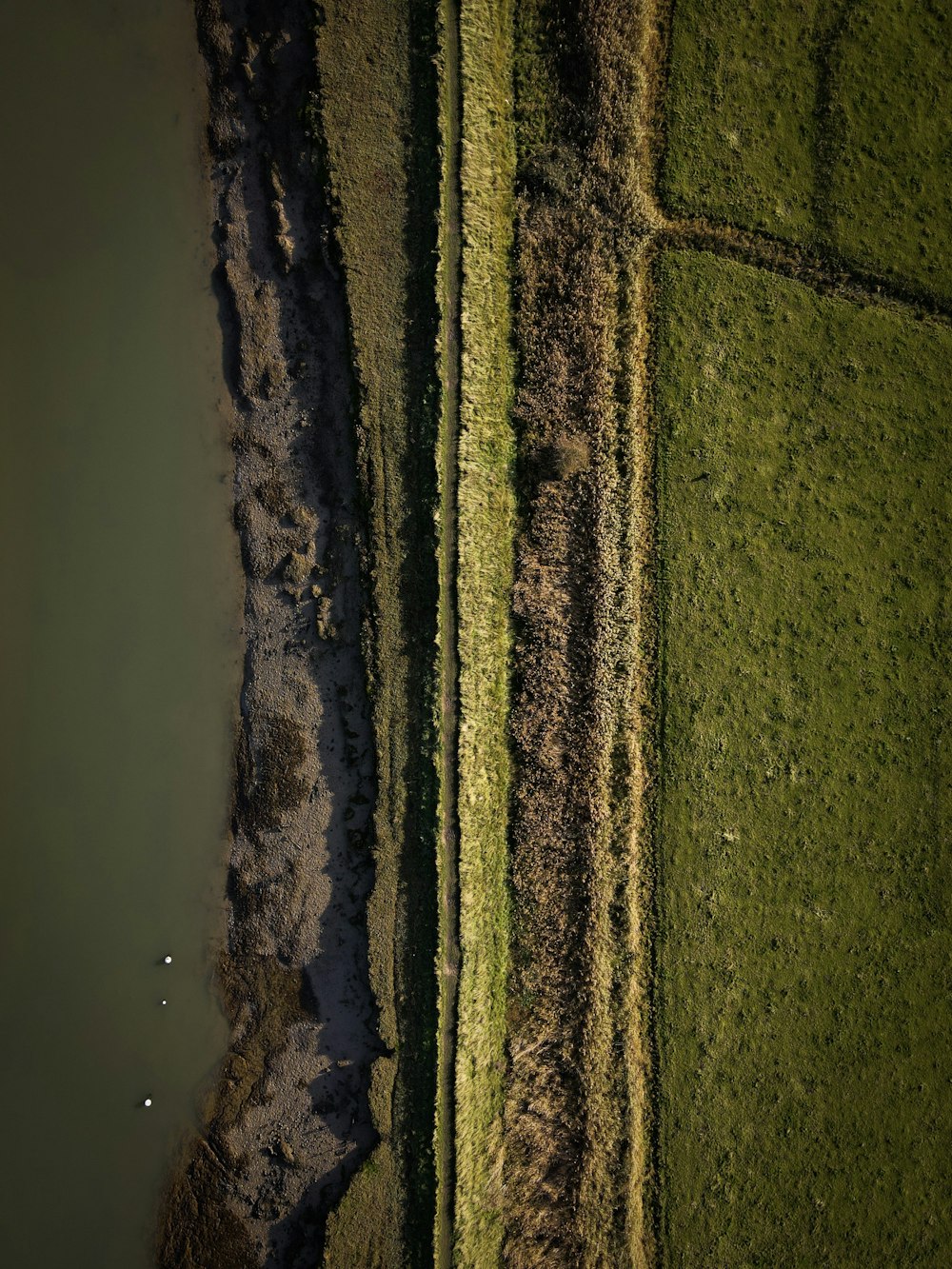 green grass field near body of water