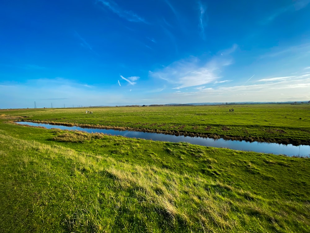 Grünes Grasfeld in der Nähe von Gewässern unter blauem Himmel tagsüber