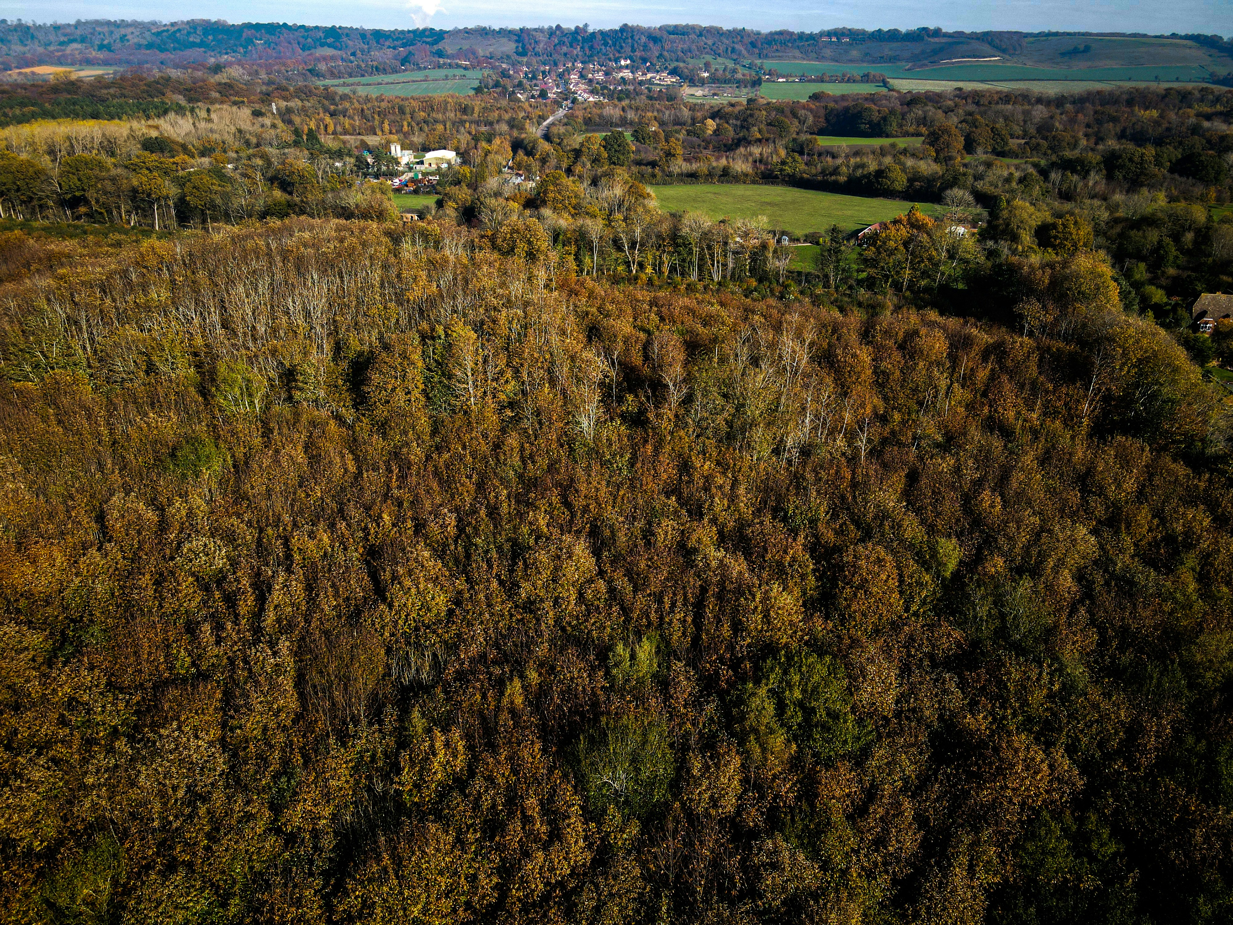 Photo by arjun_myanger