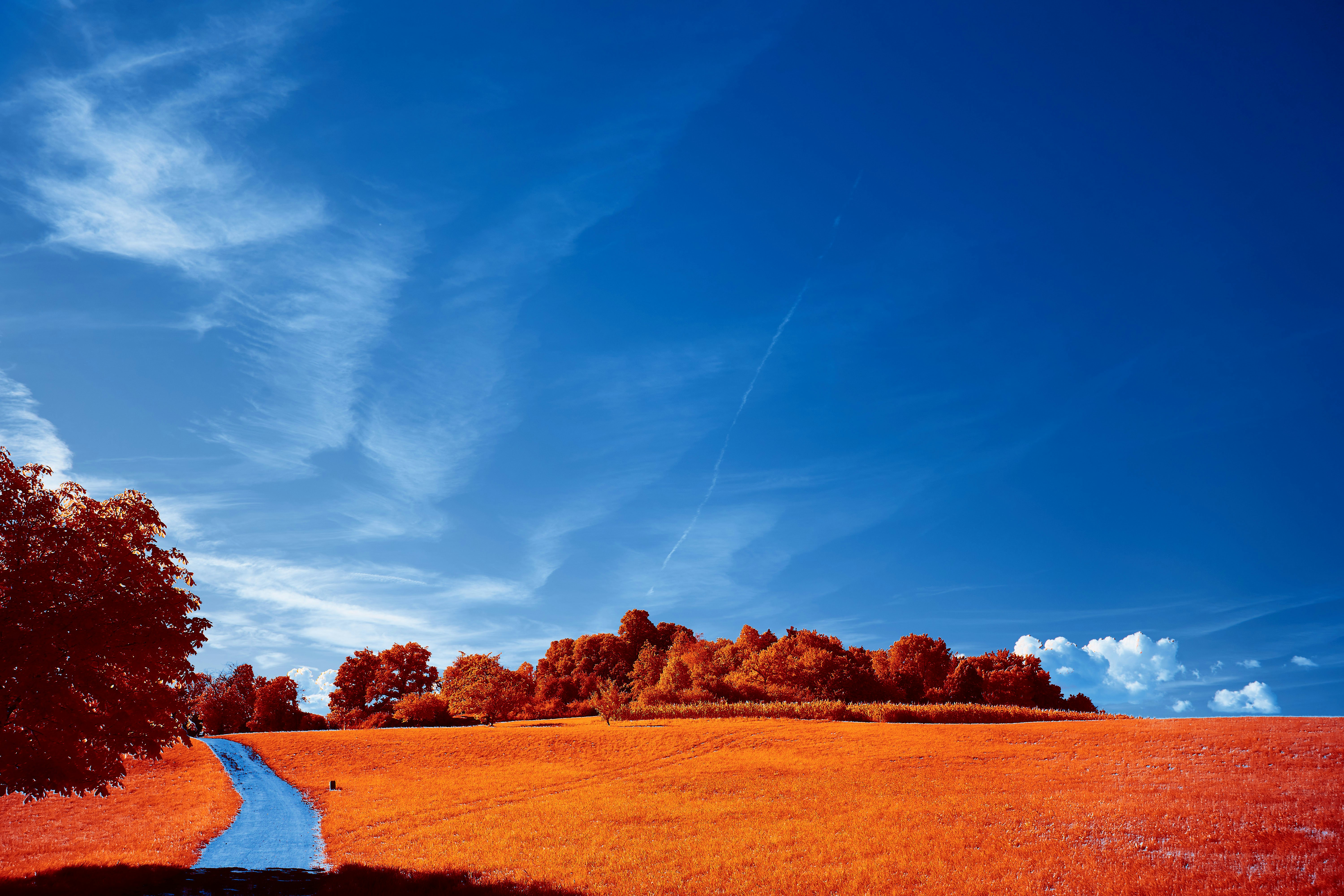 Photo by wolfgang_hasselmann