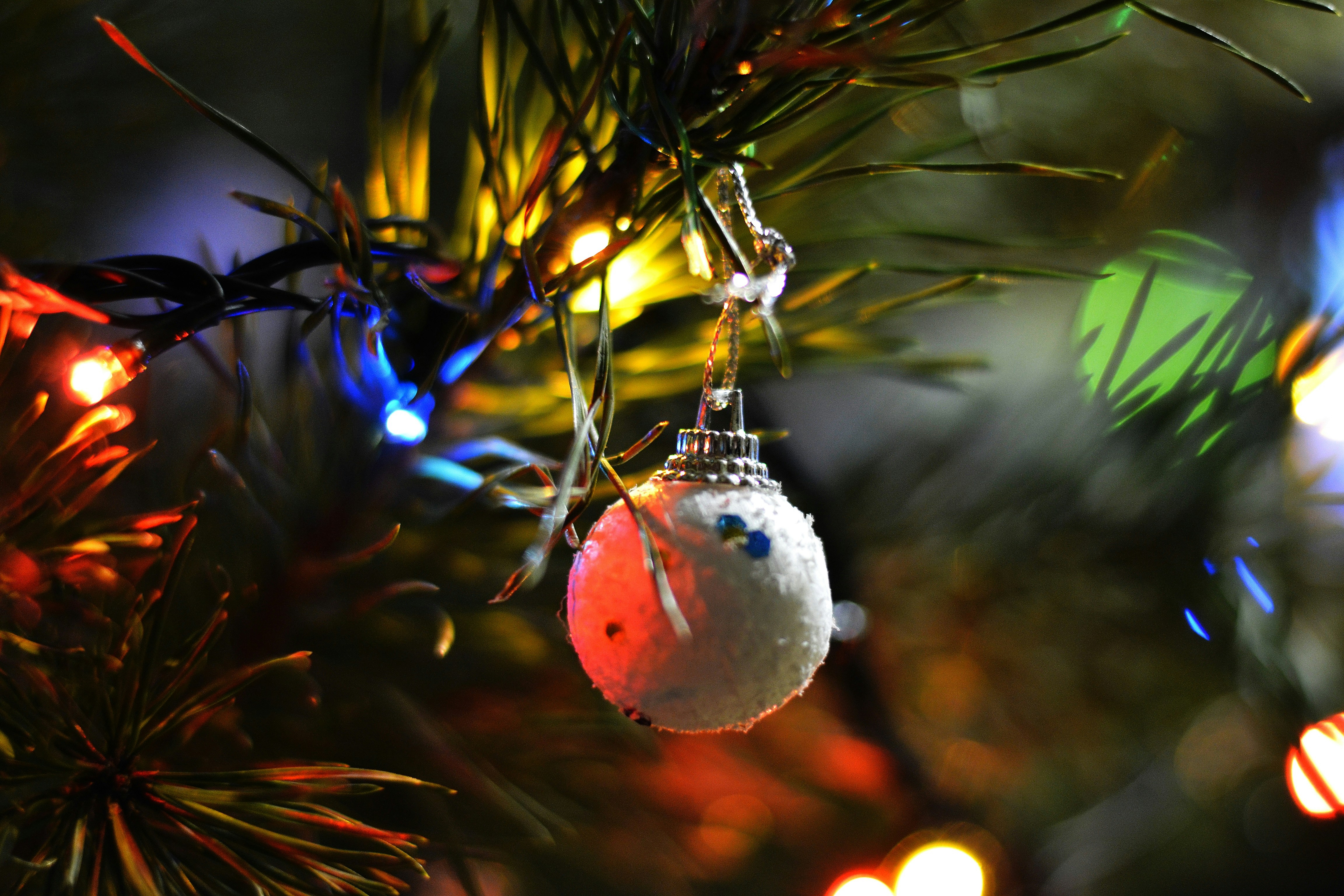 Photo by anastasiiad