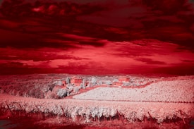 A vineyard landscape with rows of grapevines stretching into the distance. In the center, there's a rustic building surrounded by trees. The sky and fields are tinted in a surreal red hue, suggesting either a digital effect or a unique light setting.