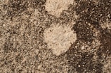 A detailed close-up of a textured painting.