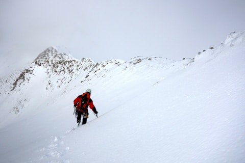 2 person walking on snow covered ground during daytime